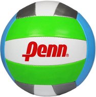 Penn Volleyball ball - silver - Volleyball