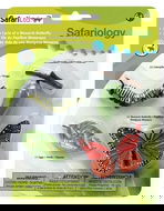 Safari Ltd. Životní cyklus - Motýl - Anatomický model