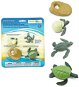 Life cycle - Sea Turtle - Educational Toy