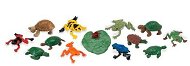 Safari Ltd. TOOB - Frogs and Turtles - Educational Set