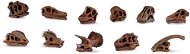 Safari Ltd. TOOB - Dinosaurs Skulls - Educational Set