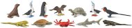 Educational Set Safari Ltd. TOOB - Animals of the Galapagos Islands - Vzdělávací sada