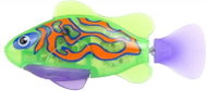  Tropical roboryba - Mandarin  - Figure
