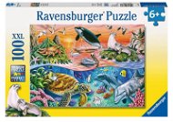 Ravens Bunte Ozean - Puzzle