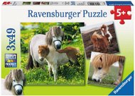 Ravens freundliche Ponys - Puzzle
