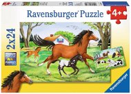 Svet koní - Puzzle