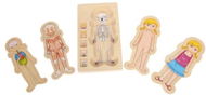 Puzzle - Anatomy - Educational Toy