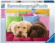 Ravens Enger Freund - Puzzle