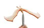 Brainstorm Toys Úžasný balancující Pteranodon - Figurka