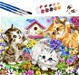 Foxter 2748 Malování podle čísel kočky 47 × 58 cm - Painting by Numbers