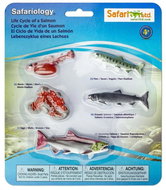 Safari Life Cycle - Salmon - Didactic Toy
