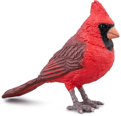 PAPO North Cardinal - Figure - Main image