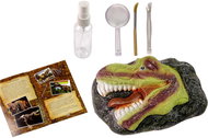 LEAN Toys 14060 Educational Dig Set - Dinosaur Tyranosaurus - Experiment Kit