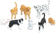 Betzold Animal set Domácí zvířata - Figure