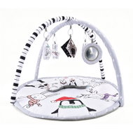Bavytoy Contrasting Play Mat with Activity Gym and Accessories - Play Pad
