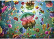 Gibsons Puzzle Jellyfish 1000 pieces - Jigsaw Puzzle