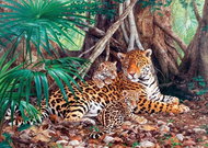Castorland Puzzle Jaguars in the jungle 3000 pieces - Jigsaw Puzzle