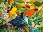 Castorland Puzzle Colorful Toucans 3000 pieces - Jigsaw