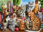 Castorland Cat House Puzzle 2000 pieces - Jigsaw