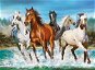Castorland Puzzle Call of Nature 2000 pieces - Jigsaw