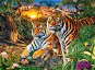Castorland Tiger Family Puzzle 2000 pieces - Jigsaw