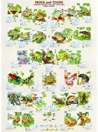 Eurographics Frogs and Toads Puzzle 1000 pieces - Jigsaw Puzzle