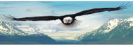 Eurographics Panoramic Eagle Puzzle 1000 pieces - Jigsaw Puzzle