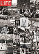 Eurographics Puzzle LIFE: Photo Collage 1000 pieces - Jigsaw Puzzle