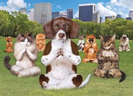 Eurographics Yoga in the Park Puzzle XL 300 pieces - Jigsaw Puzzle