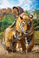 Eurographics Puzzle Save Our Planet: Tigers XL 250 pieces - Jigsaw Puzzle