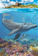 Eurographics Puzzle Save Our Planet: Delfíni XL 250 dílků - Puzzle