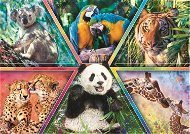 Trefl Puzzle Animal Planet: Animal Kingdom 1000 pieces - Jigsaw