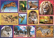 Trefl Puzzle Animal Planet: Wildlife 1000 pieces - Jigsaw