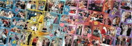Trefl Panoramic Puzzle Friends: meet 1000 pieces - Jigsaw Puzzle