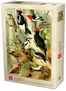 Deico Puzzle Encyclopedia Birds 1000 pieces - Jigsaw Puzzle