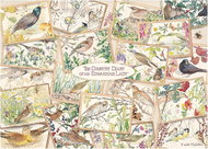 Falcon Puzzle Postcards from a country diary 1000 pieces - Jigsaw Puzzle