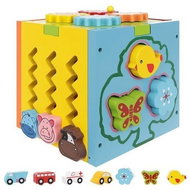 ISO 11245 Insertable wooden educational cube 5in1 - Motor Skill Toy