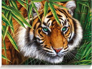 Star Puzzle Tiger View 500 pieces - Jigsaw Puzzle