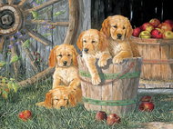 Cobble Hill Family Puzzle Dog Friends 350 pieces - Jigsaw Puzzle