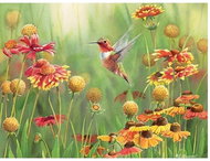 Cobble Hill Hummingbird Puzzle 500 pieces - Jigsaw Puzzle