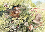Cobble Hill Puzzle Hidden Nest 1000 pieces - Jigsaw Puzzle