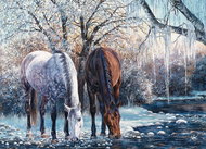 Cobble Hill Puzzle Beauty of Winter 500 pieces - Jigsaw Puzzle