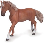 PAPO English mare thouroughbred - Figure