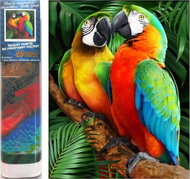 Norimpex Colourful parrots 30 × 40 cm - Diamond Painting