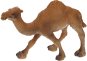 Atlas Camel Dromedary - Figure