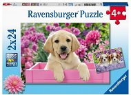 Ravensburger 050291 Zauberwelpen 2x24 Stück - Puzzle