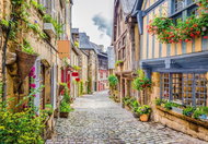 Bluebird Old Town 1000 pieces - Jigsaw Puzzle