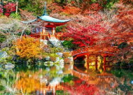 BLUEBIRD Daijoji Temple in Autumn, Kyoto 500 pieces - Jigsaw Puzzle