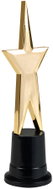 Boland Trophy Star award - Decoration