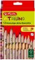 Coloured Pencils Herlitz Trilino 12 Colours Triangular - Pastelky